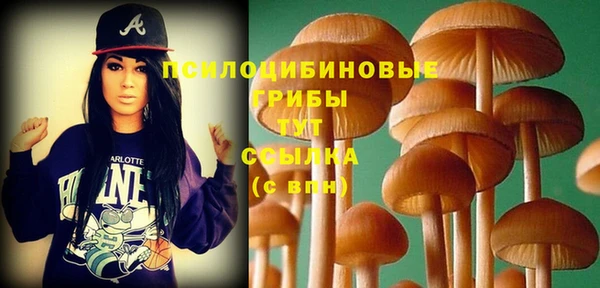 первитин Михайловка