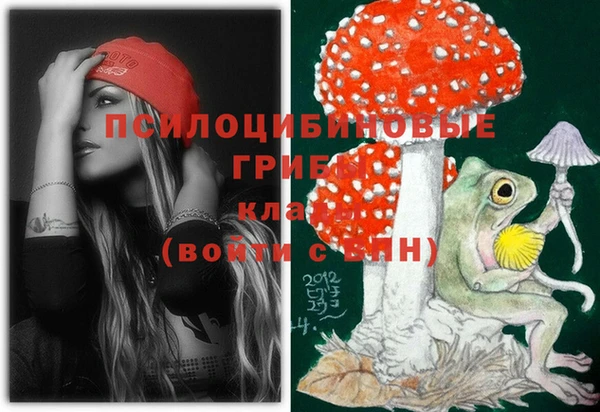 стаф Абаза