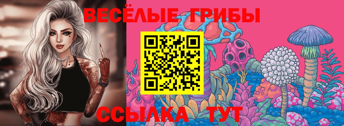 Псилоцибиновые грибы мухоморы Серпухов