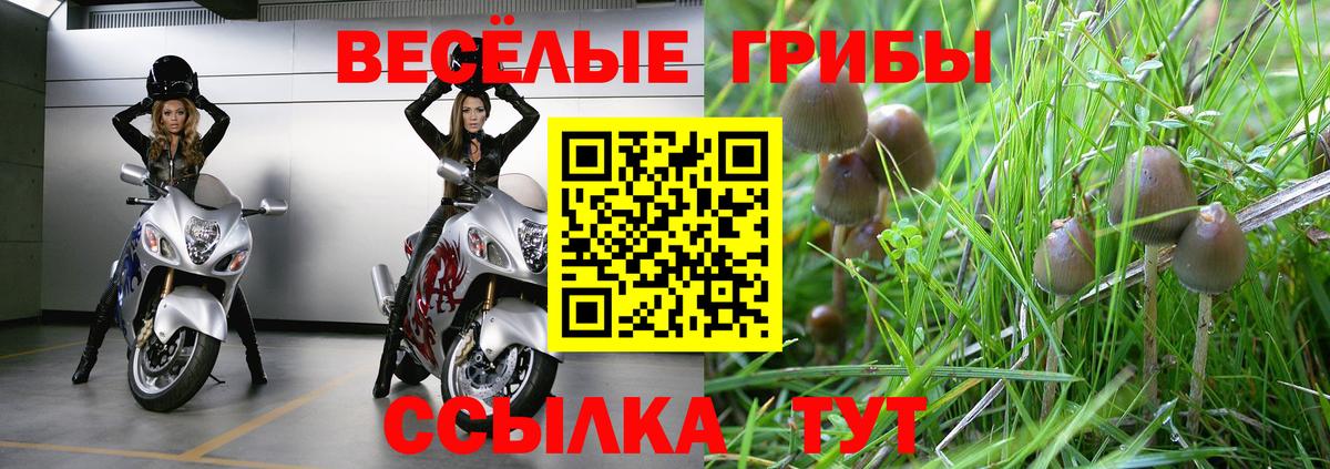 Галлюциногенные грибы Psilocybe  где купить наркоту  Серпухов  Вход с VPN 